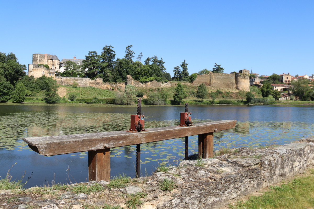 Au cœur du vignoble Surprenant Choletais - 38km