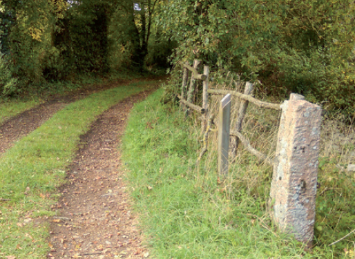 Boucle Vezins/Péronne/Vezins - 18.2 km