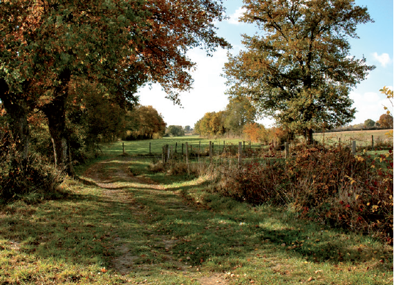 Champ de Bataille - 7.2 km