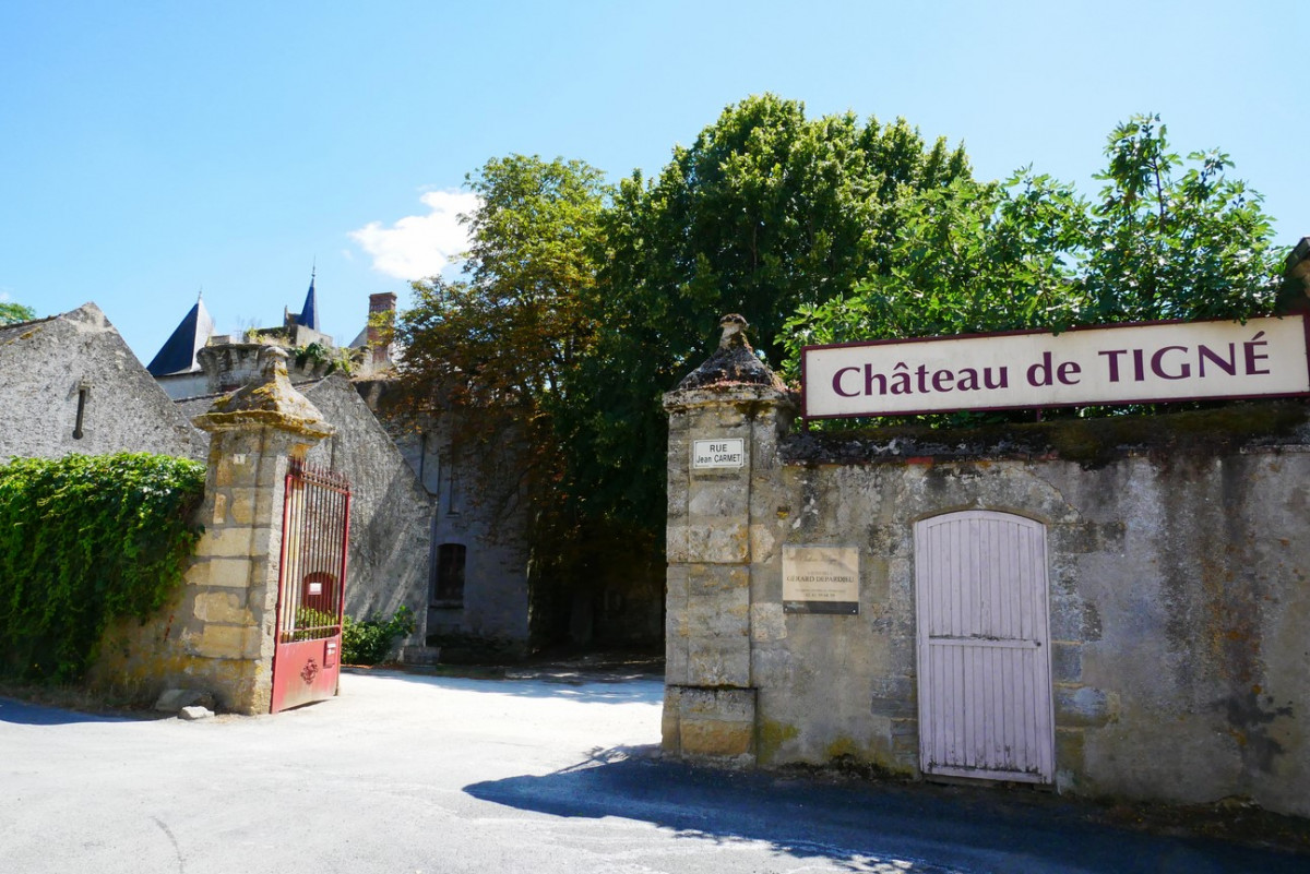 Balade en famille à Tigné - 6km