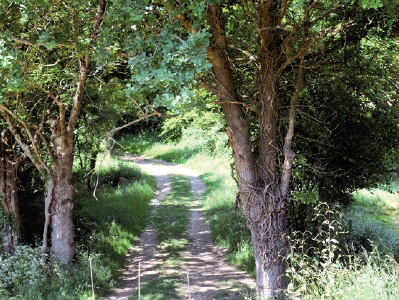 Chemin du Frêne - 7 km