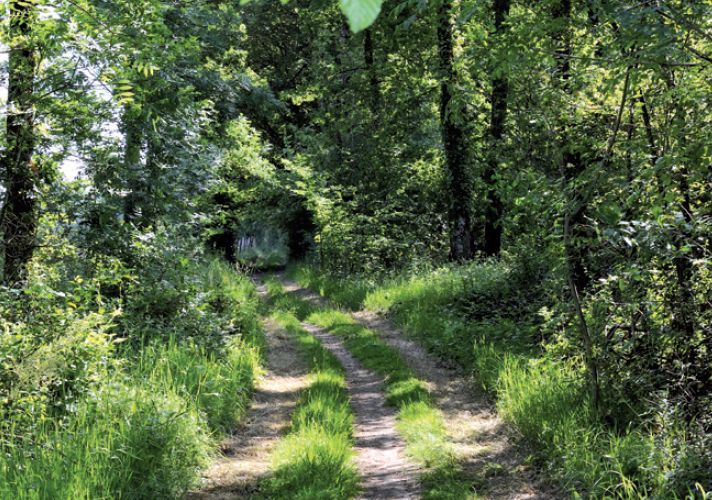 Des poteries à la Gilbertière - 15 km