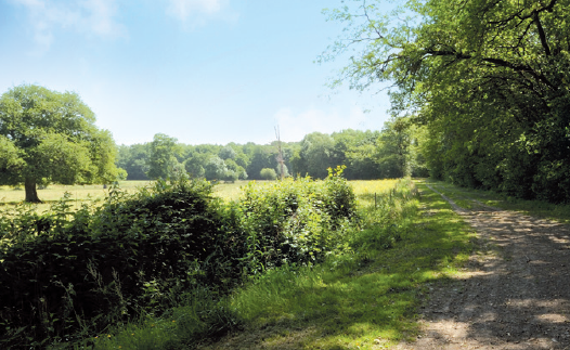 Les Hauts de Chanteloup - 15.7 km