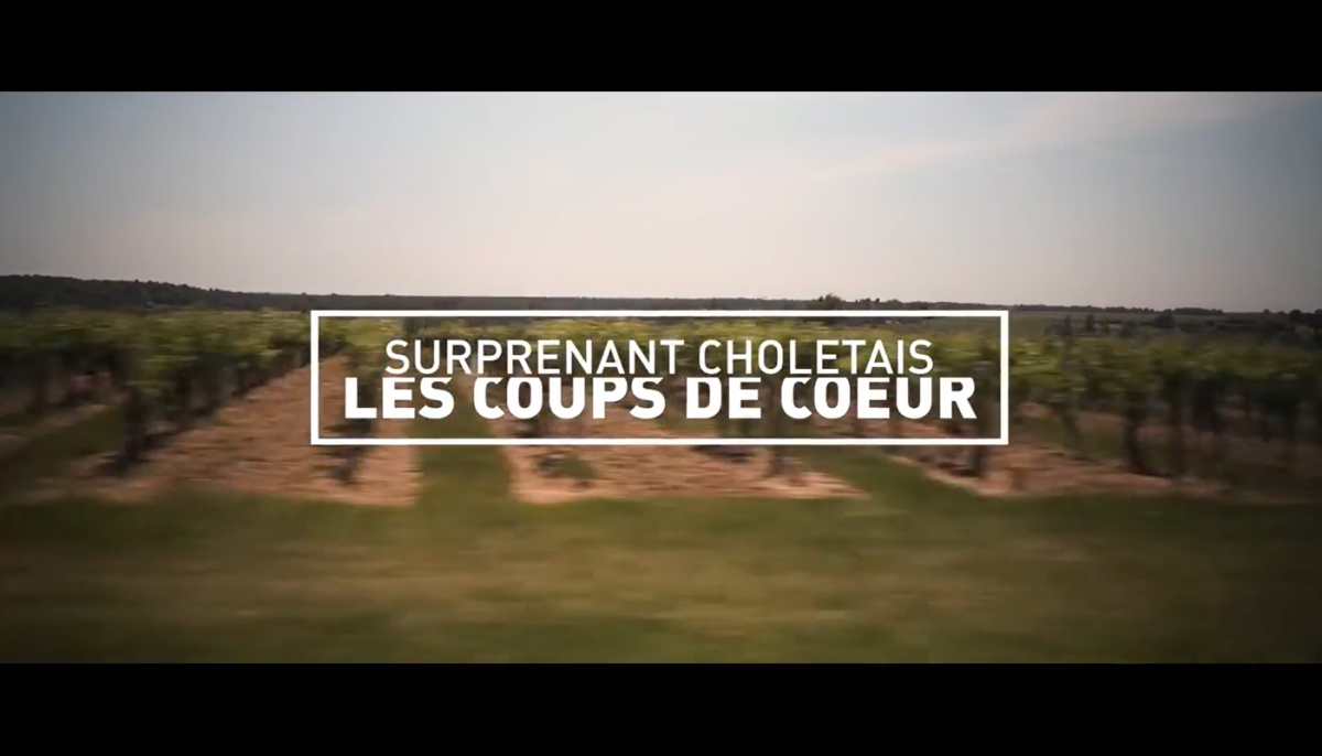 Les coups de c&oelig;ur - Surprenant Choletais