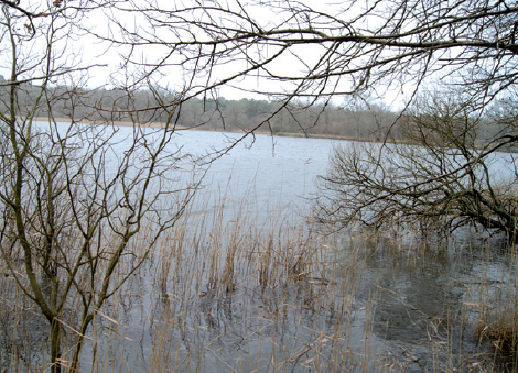 De Vezins à l'Etang de Péronne - 10 km