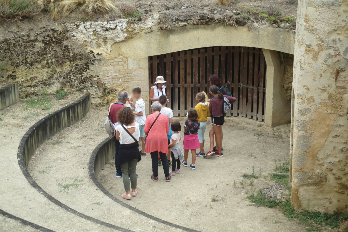 Visites Guidées