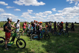 Activités dans le vignoble