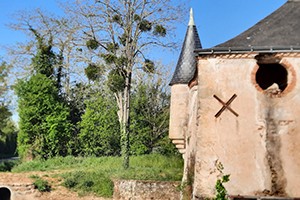 Au cœur du vignoble Surprenant Choletais - 50km