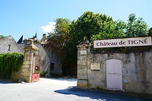 Balade en famille à Tigné - 6km
