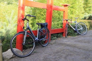 Rando Cyclo dans les Vignes