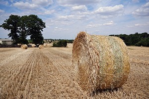 Bilan d'activité saison 2019