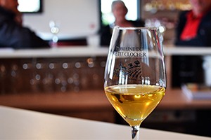 Domaine du Petit Clocher