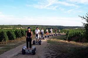 Promenade insolite dans les vignes en Trottinette Electrique