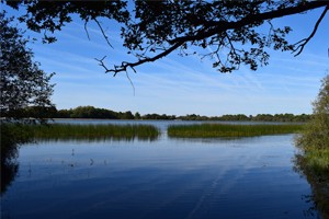 Etang des Noues