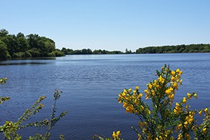 Etang de Péronne