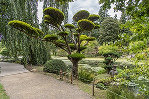 Parc Oriental