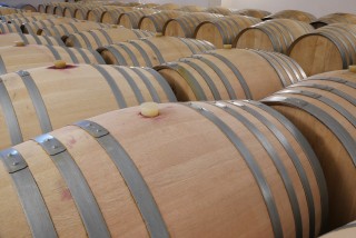 Les vins du Haut-Layon