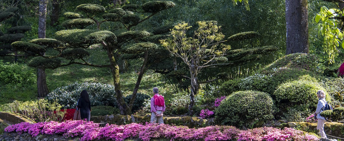 Parc Oriental de Maulévrier