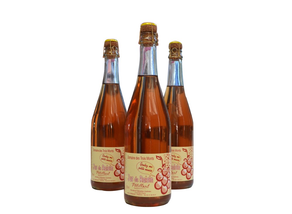 jus-de-raisin-petillant-detoure-2-blanc-reduite-1362