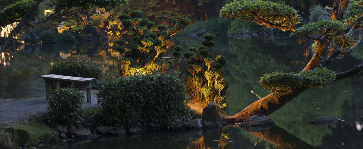 Les nocturnes du Parc Oriental