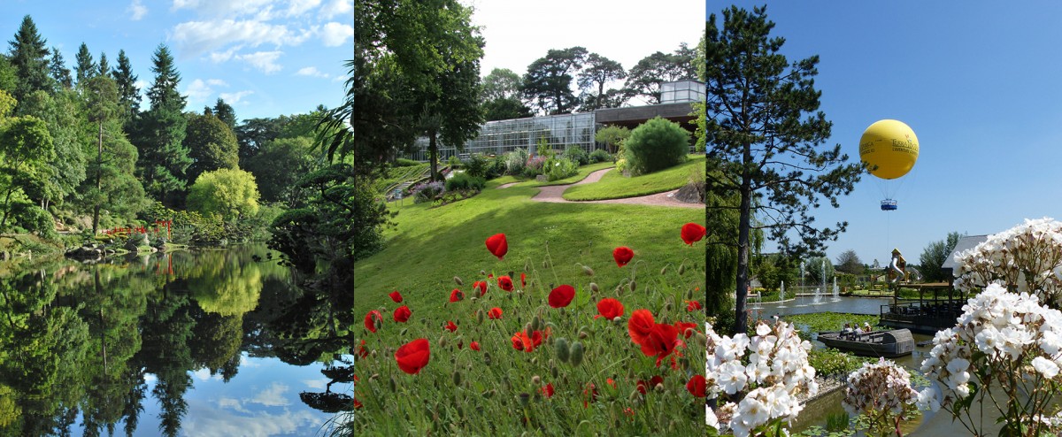 Offre spéciale 3 jardins