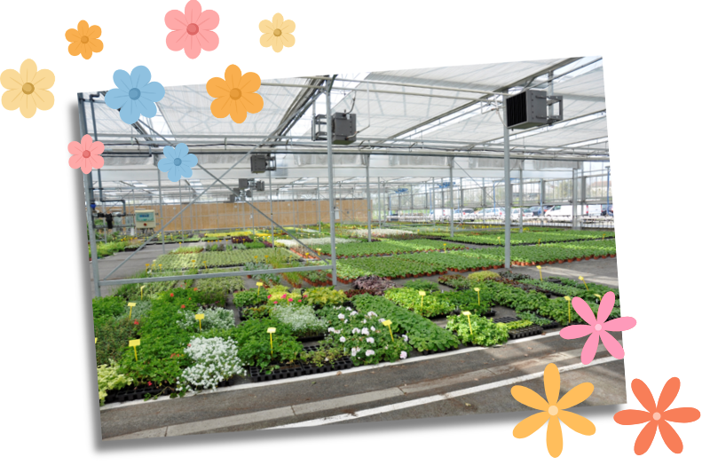 pop-up-site-internet-2008