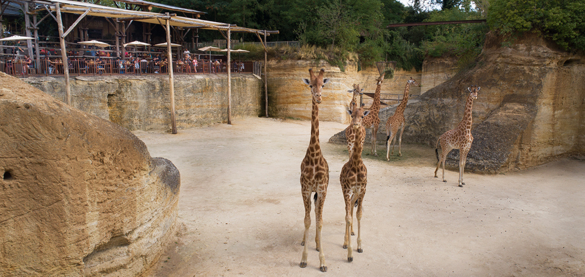 Bioparc - Zoo de Doué la Fontaine