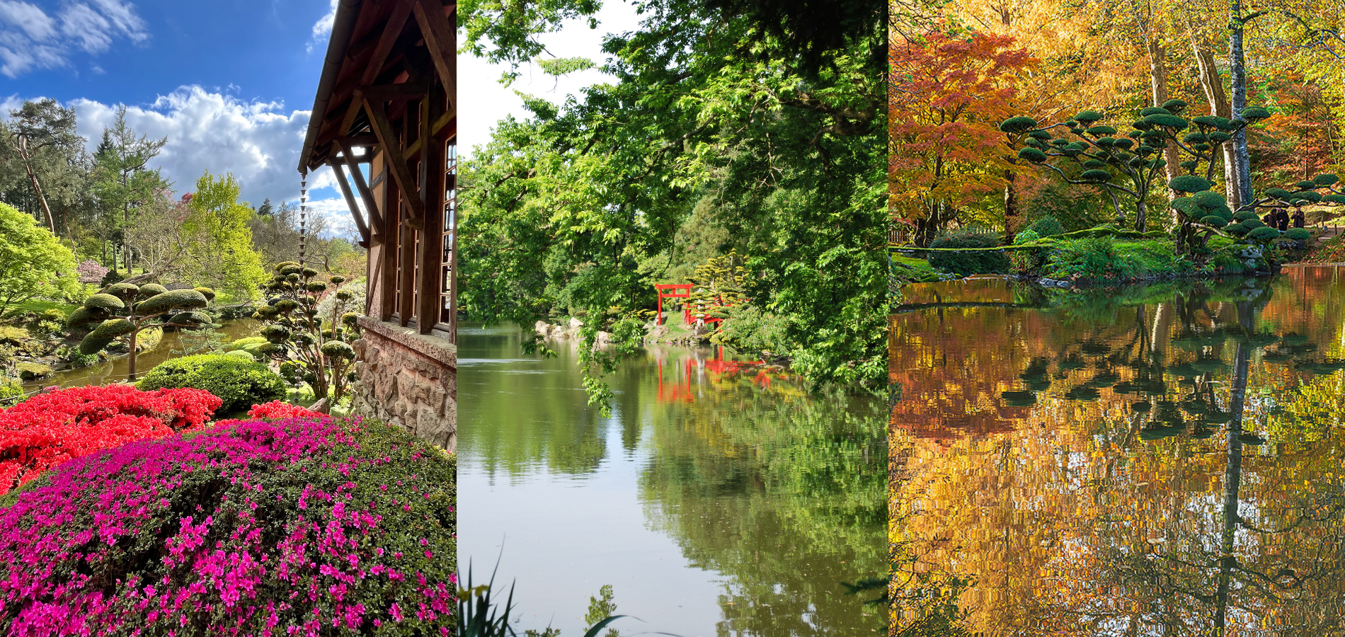 Parc Oriental de Maulévrier