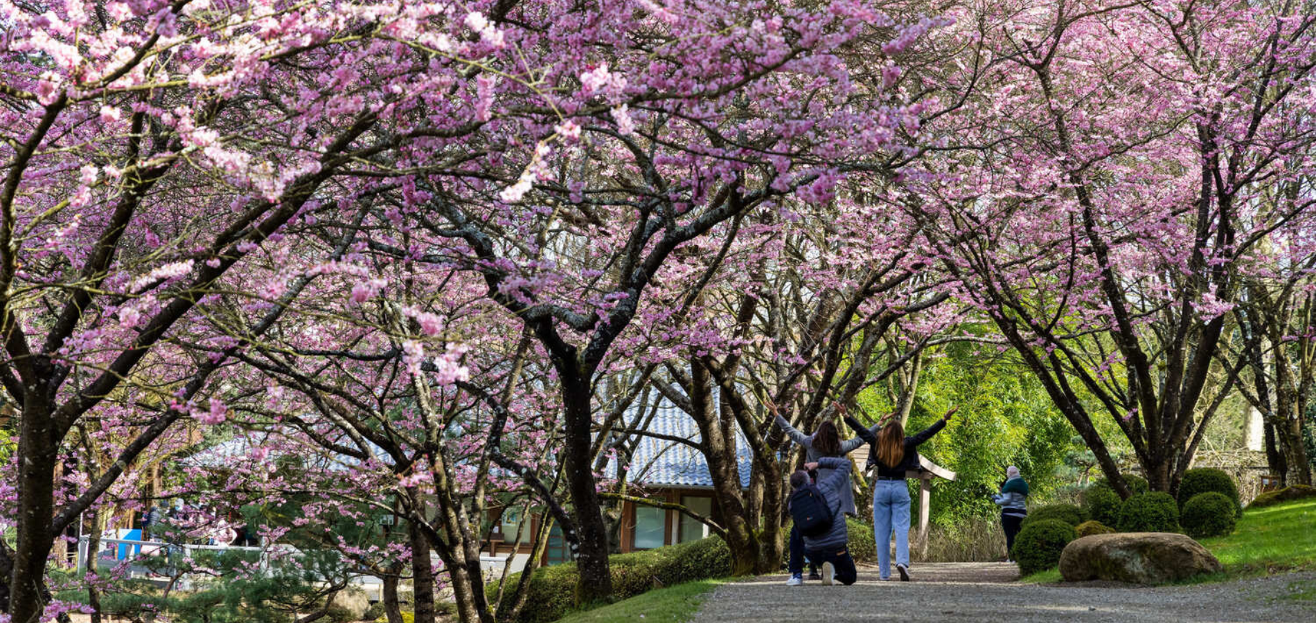 Parc Oriental de Maulévrier