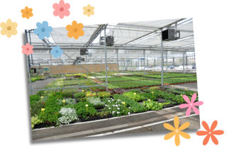 pop-up-site-internet-2008