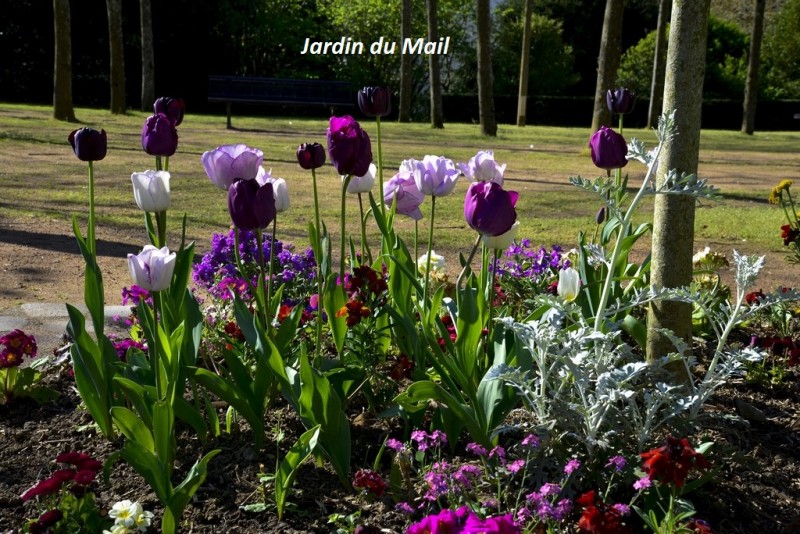 Cholet tourisme ville fleurie 4 fleurs