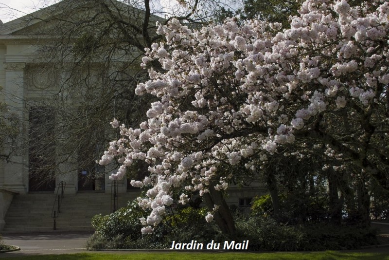 Cholet tourisme ville fleurie 4 fleurs