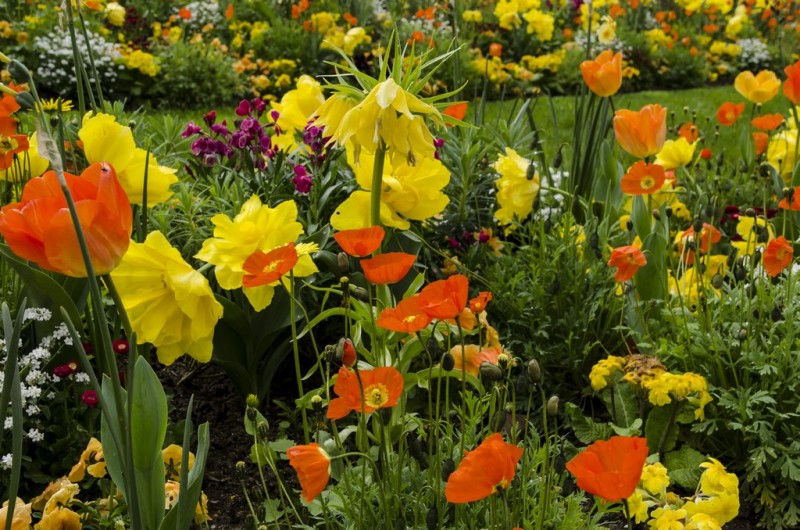 Cholet tourisme nature parc jardin ville fleurie 4 fleurs