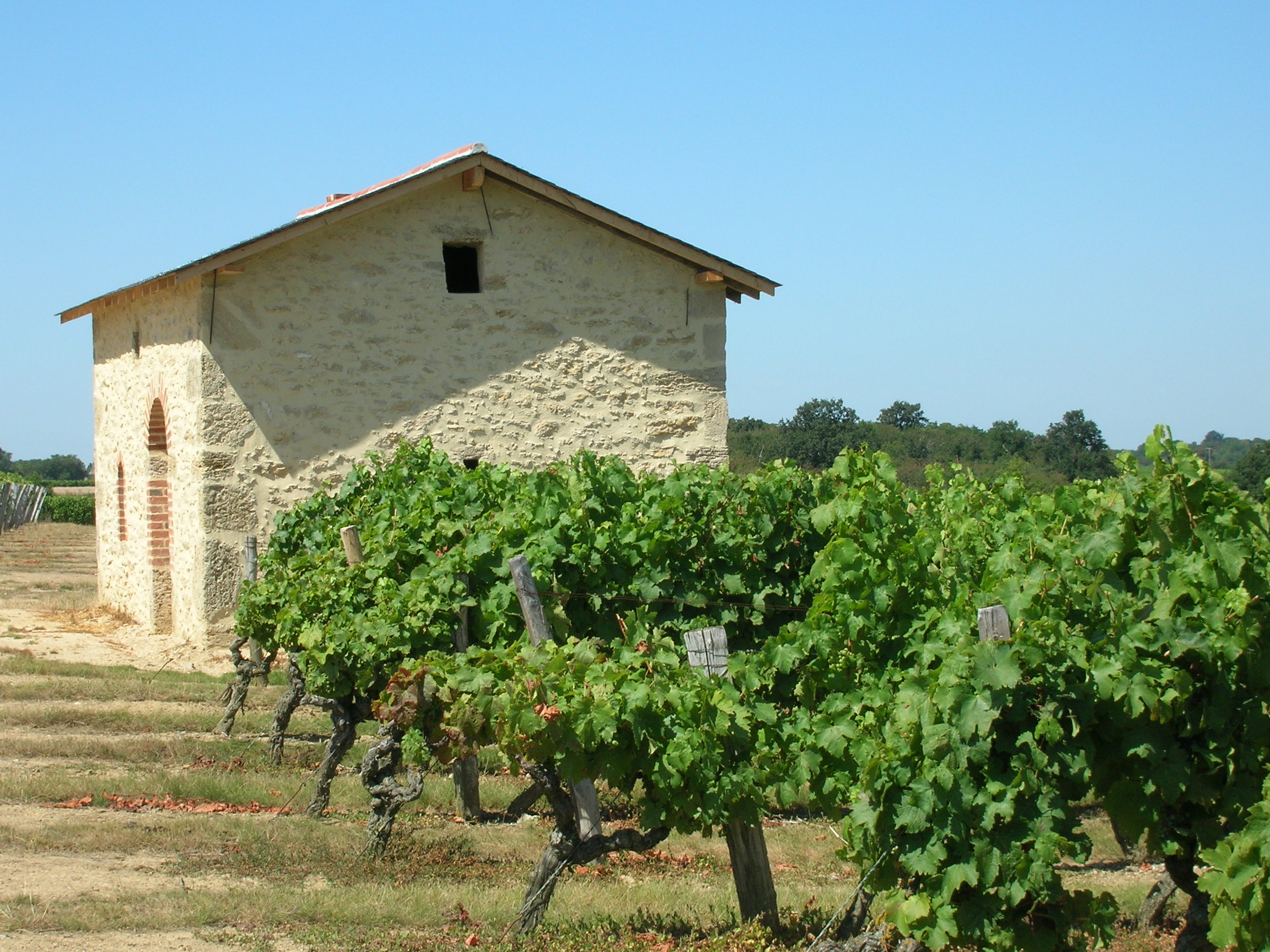 cabane-dans-les-vignes-c-estelle-dauvergne-2852917 - © Estelle Dauvergne