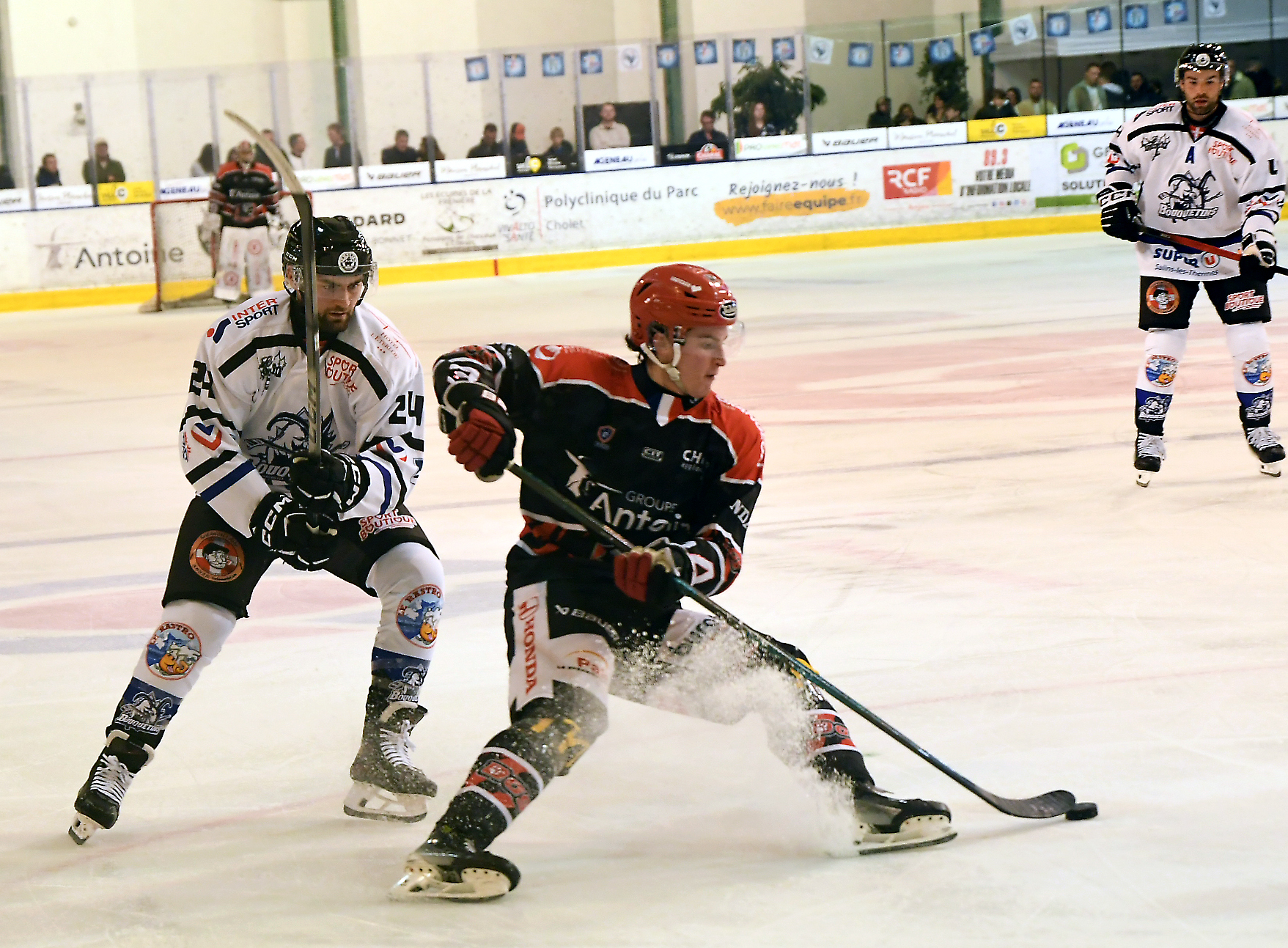 Dogs de Cholet - &copy; Etienne Lizambard