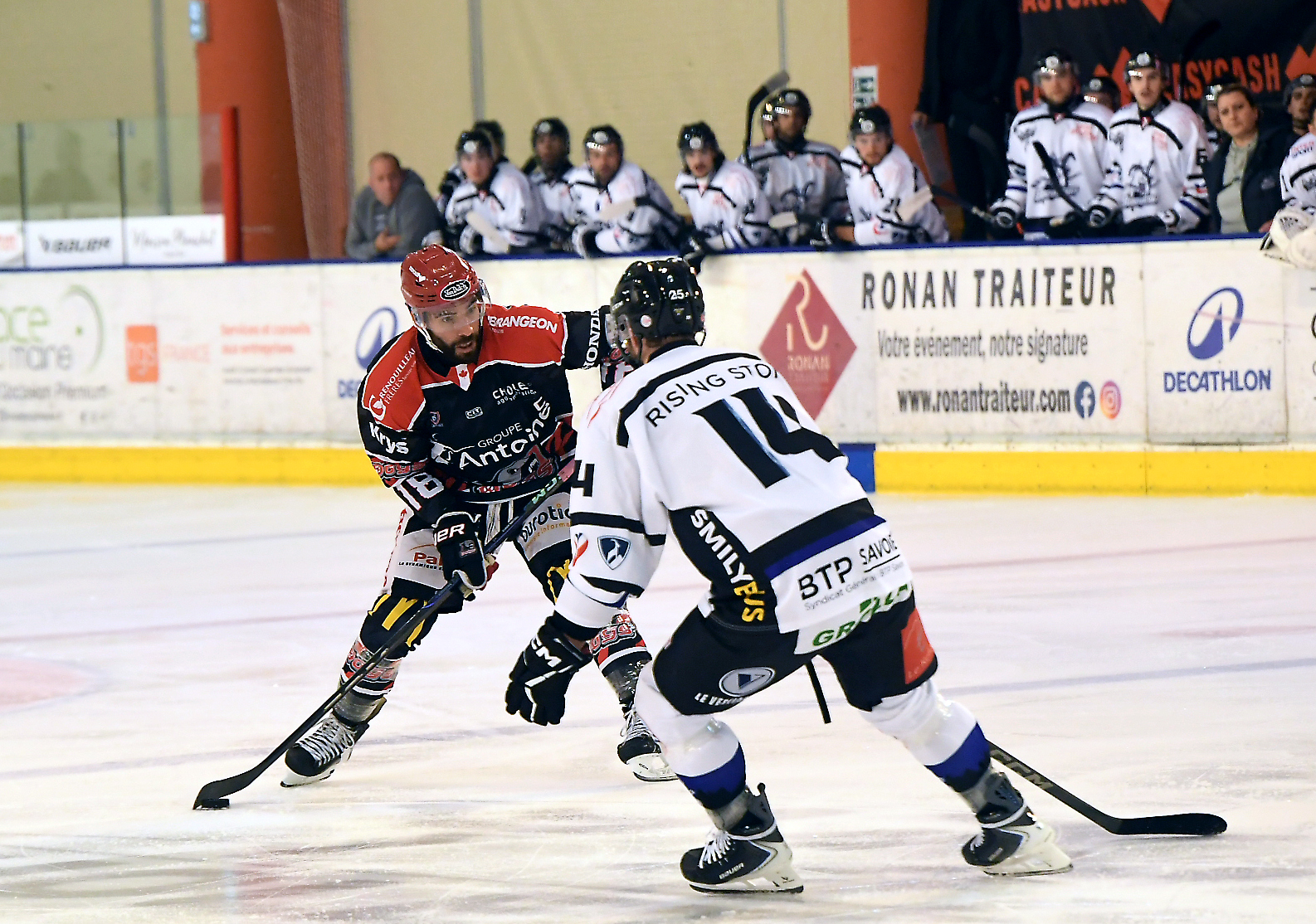 Dogs de Cholet - &copy; Etienne Lizambard