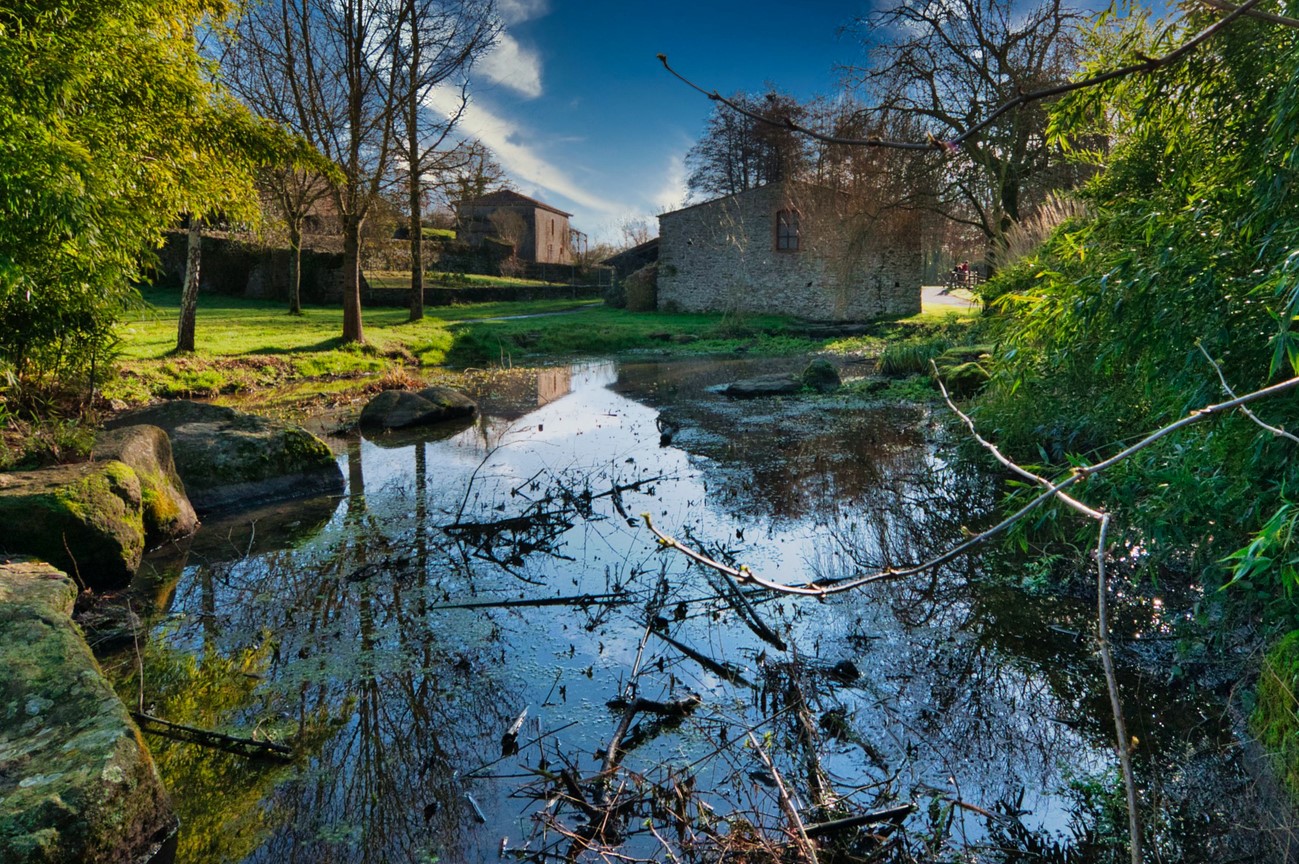moulin-de-la-cour-la-seguiniere-2021-49-c-antonio-fernandes-copier-2852855 - © Antonio Fernandes