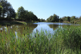 aire-de-baignade-des-pres-naiteaux-montilliers-49