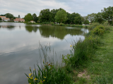 promenons-nous à Trémentines parc du hameau de l'étang