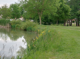 promenons-nous à Trémentines parc du hameau de l'étang