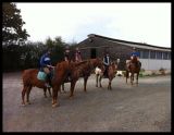 centre-equestre-de-mauny-trementines-49