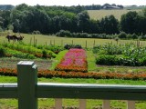 Chambres d'hôtes Jardin Fleurs Campagne Extérieur Nature