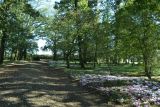 Cholet tourisme lieux de visites Colbert Château du Bois Saint Louis Maulévrier