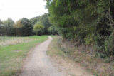 Chemin le long du bois de la Cure - Le Puy Saint Bonnet