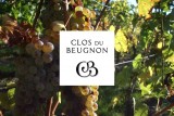 Cholet Tourisme Domaine du Clos du Beugnon La Fosse-de-Tigné Vigneron