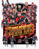 dogs hockey sur glace cholet 49 Champions de France D1