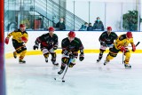 dogs-hockey-sur-glace-cholet-49