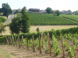 domaine-des-trois-monts-tremont-49-2