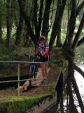 Cholet tourisme nature découvrir randonnée Le Bouchot La Romagne La Séguinière bords de La Moine