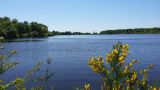 etang-de-peronne-chanteloup-les-bois-49